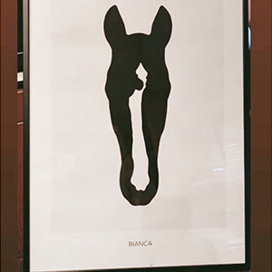 ALBFÜHREN'S BIANCA